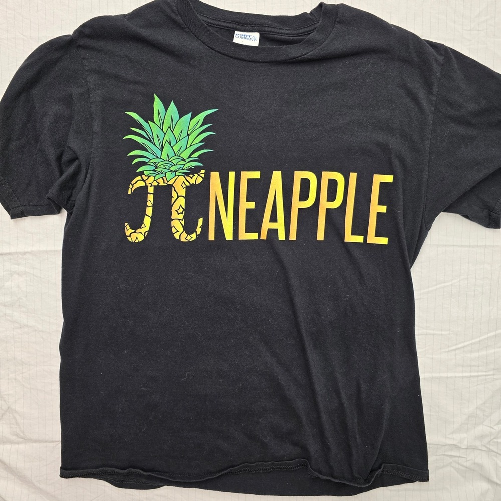 Port & Company Mens Large Pi-neapple Math Pun Graphic T-Shirt Black Ring Spun